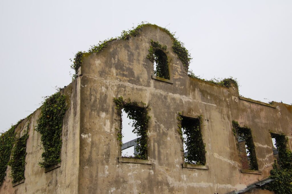 Lost Paradise: Unearthing Japan’s Mysterious Island Ruins Through Haikyo Exploration