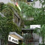 Tokyo’s Green Escape: Discover the City’s Most Enchanting Rooftop Gardens and Nature Cafés