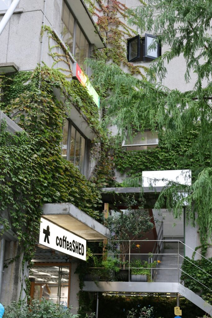 Tokyo’s Green Escape: Discover the City’s Most Enchanting Rooftop Gardens and Nature Cafés