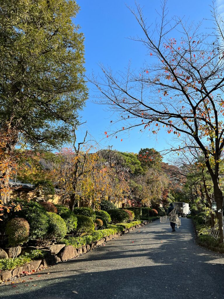 Beyond the Blossoms: Discovering Japan’s Most Enchanting Hidden Hydrangea Gardens in 2025