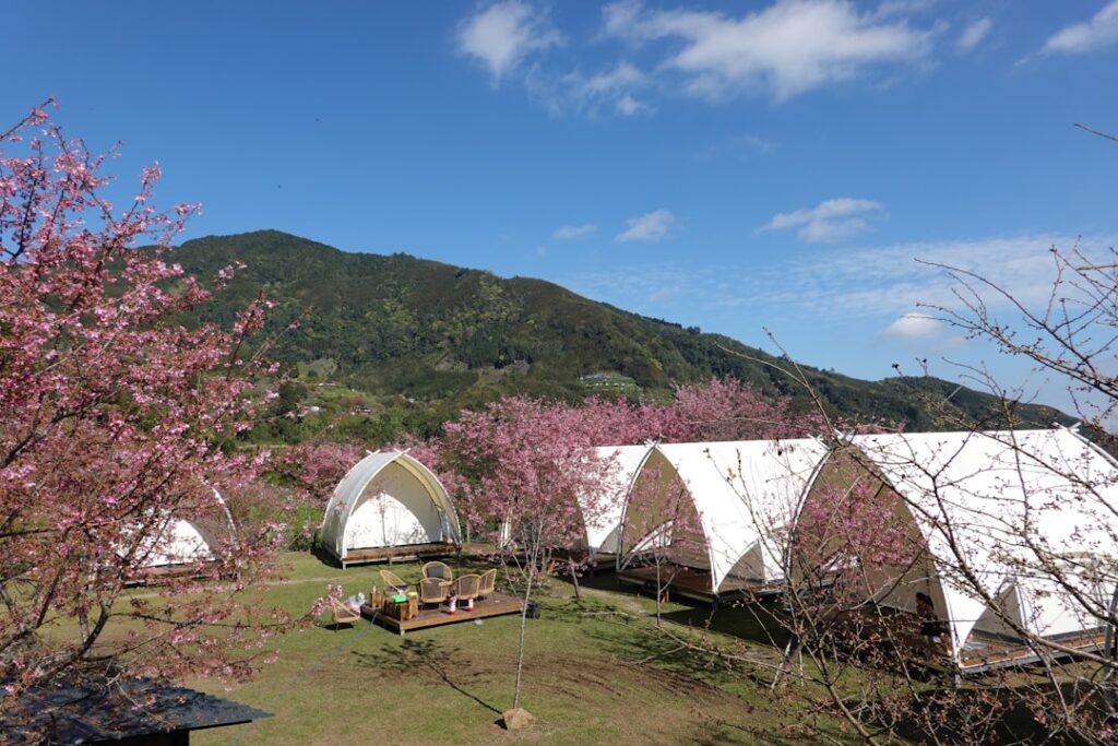 Green Escapes: Discover Japan’s Eco-Friendly Glamping and Farm Stay Revolution