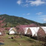 Green Escapes: Discover Japan’s Eco-Friendly Glamping and Farm Stay Revolution