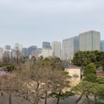 Hidden in the Sky: Discover Tokyo’s Stunning Rooftop Gardens Transforming the City in 2025