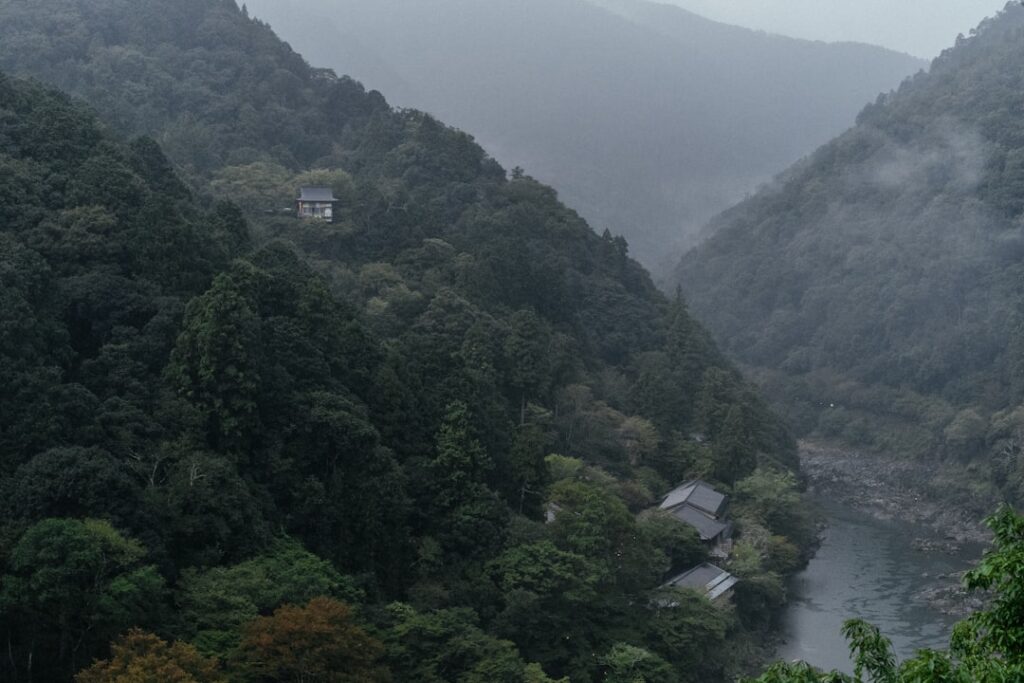 Japan’s Secret Summer Edens: Discover Locals’ Hidden Swimming Holes and Refreshing Natural Pools