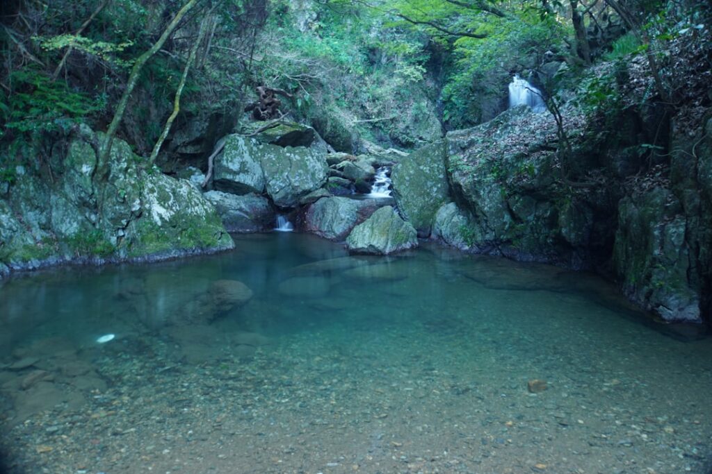 Island Sanctuary: How Yakushima and Ishigaki Blend Ancient Japanese Traditions with Modern Wellness Retreats