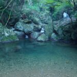 Island Sanctuary: How Yakushima and Ishigaki Blend Ancient Japanese Traditions with Modern Wellness Retreats