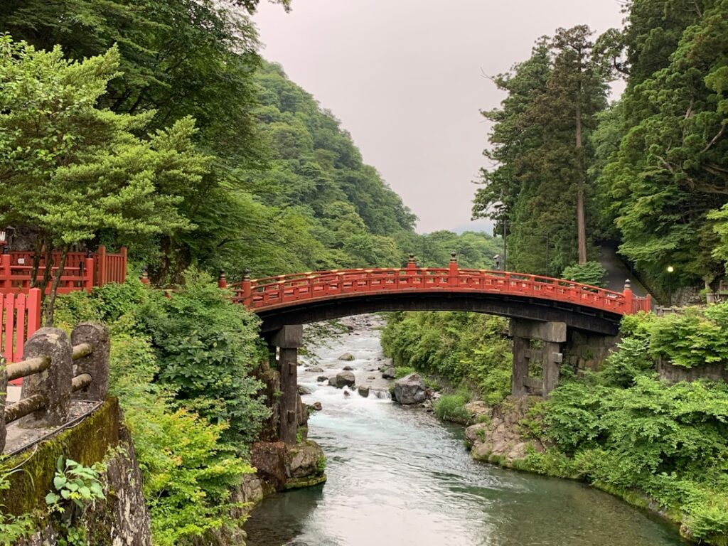 Unveiling Kyoto’s Hidden Forests: A Deep Dive into Secret Shinrin-yoku Sanctuaries
