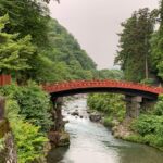Unveiling Kyoto’s Hidden Forests: A Deep Dive into Secret Shinrin-yoku Sanctuaries