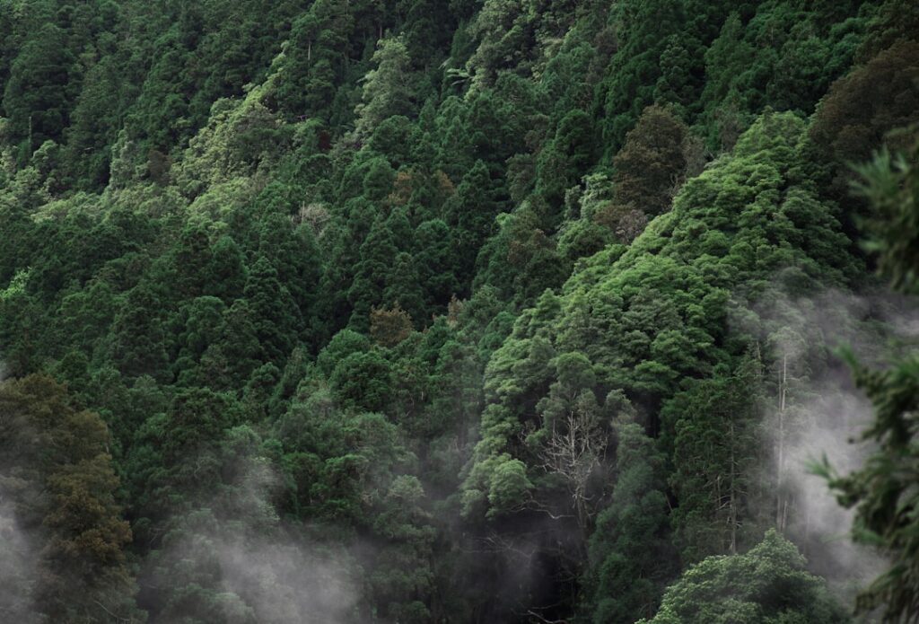 Into the Green Future: Discover High-Tech Glamping in Japan’s Secret Mountain Retreats