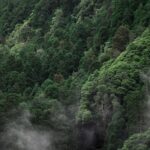Into the Green Future: Discover High-Tech Glamping in Japan’s Secret Mountain Retreats