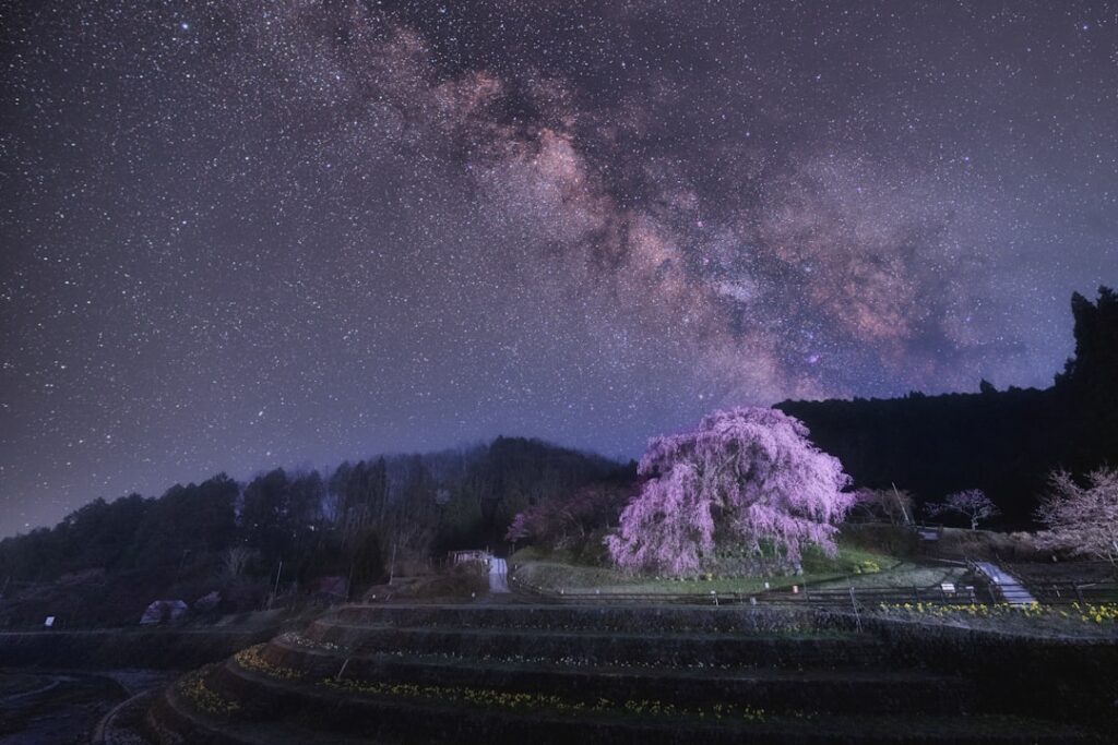 Unveiling Japan’s Hidden Countryside: The Satoyama Glamping Revolution of 2025