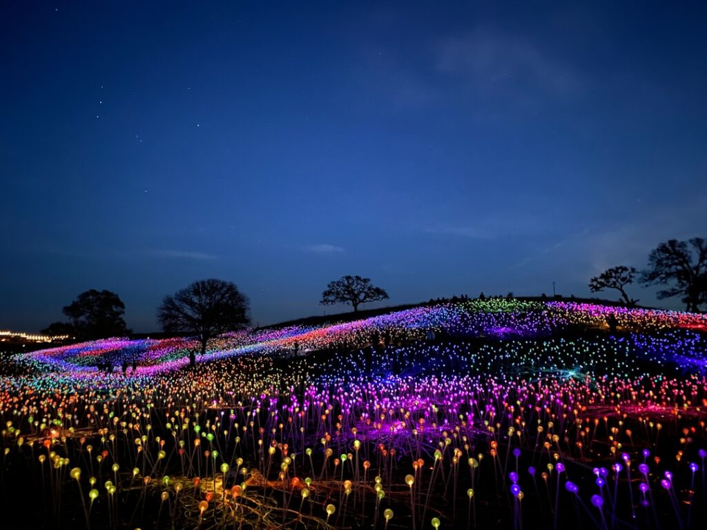 Hidden Luminescence: Discovering Japan’s Most Enchanting Rural Night Art Installations