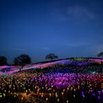 Hidden Luminescence: Discovering Japan’s Most Enchanting Rural Night Art Installations