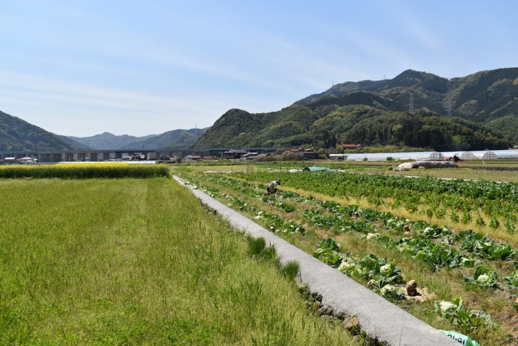 Beyond Tokyo: Dive into Japan’s Neo-Rural Revolution and the Rise of Farm-to-Table Villages