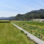 Beyond Tokyo: Dive into Japan’s Neo-Rural Revolution and the Rise of Farm-to-Table Villages