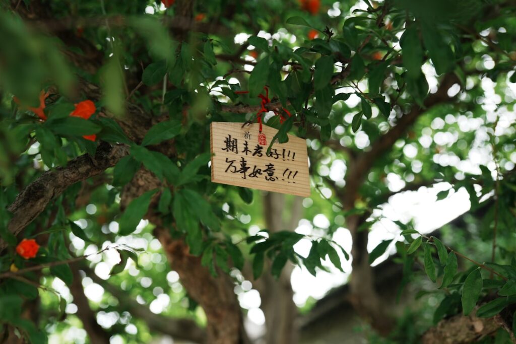 Discover Japan’s Secret Orchards: A 2025 Guide to Local Fruit-Picking Adventures