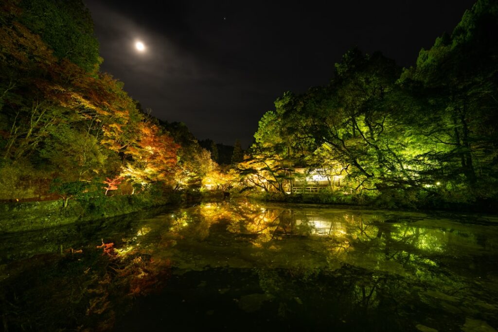 Glowing Secrets: Discovering Japan’s Hidden Firefly Festivals in Enchanting Countryside Villages