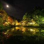 Glowing Secrets: Discovering Japan’s Hidden Firefly Festivals in Enchanting Countryside Villages