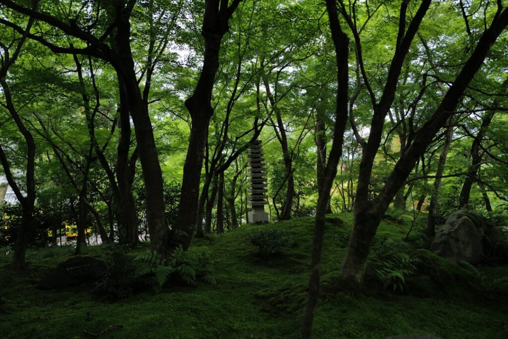 Hokkaido’s Hidden Glamping Escapes: Into Japan’s Secret Forests