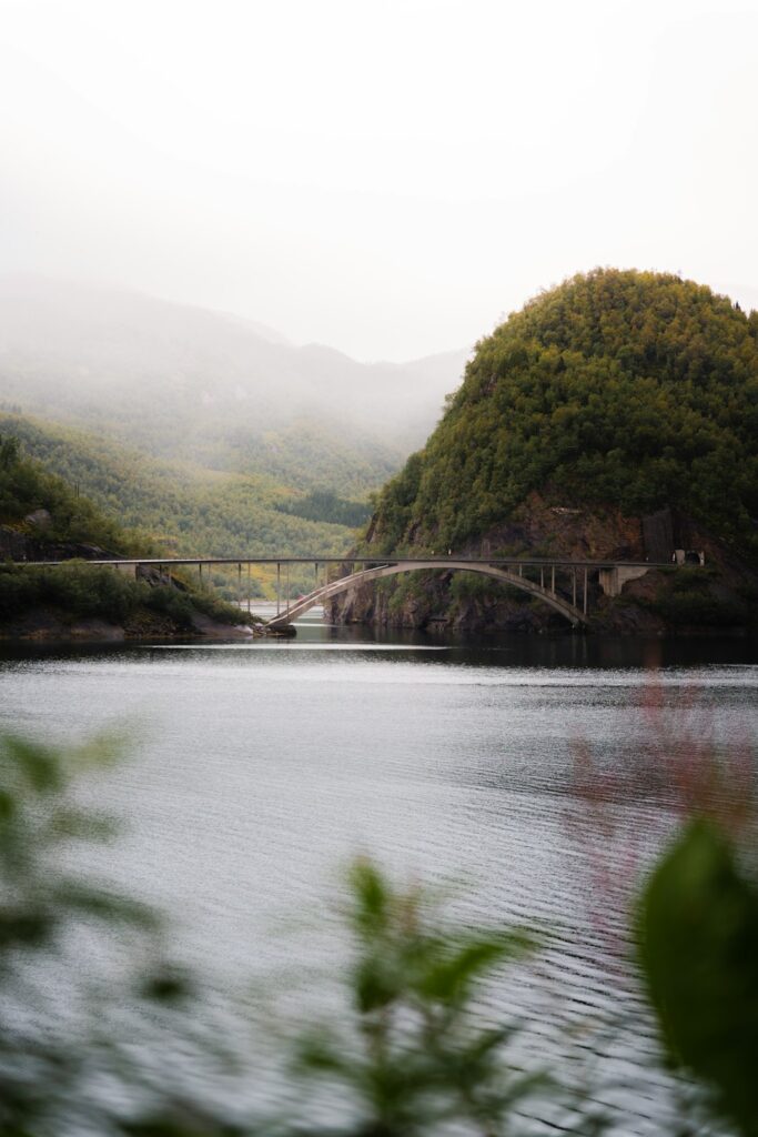 Japan’s Best-Kept Forest Glamping Secrets: Where Locals Go Off the Grid