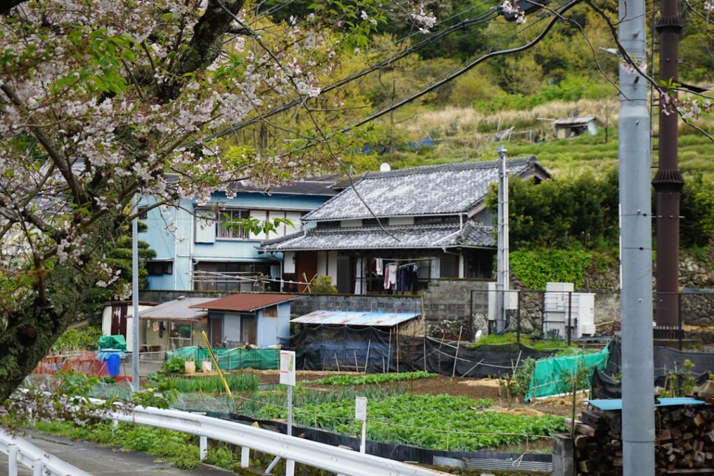 Discover Japan’s Secret Satoyama: Unforgettable Green Adventures Beyond the Beaten Path in 2025