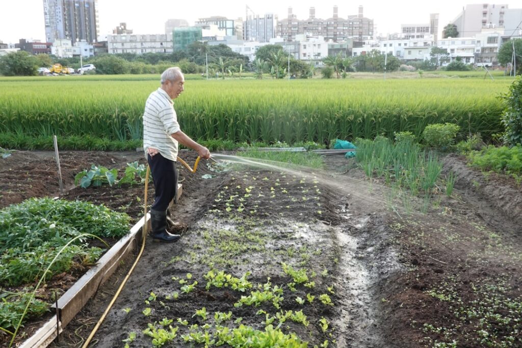 Tokyo’s Secret Green Oases: Discovering the Rooftop Farms Transforming Urban Life in 2025