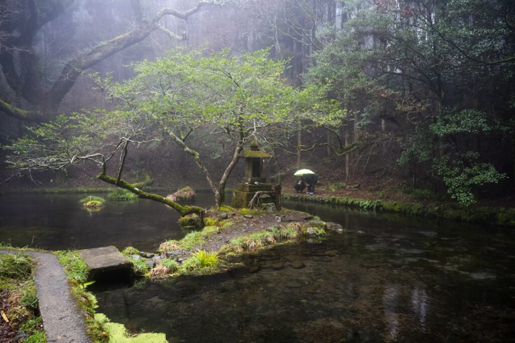Into the Heart of Japan: Discover the Hidden Luxury of Forest Glamping