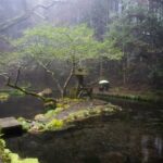 Into the Heart of Japan: Discover the Hidden Luxury of Forest Glamping