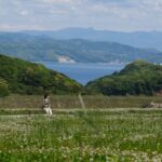 Hidden Eco-Art Wonders: Exploring Kagawa’s Secret Living Art Islands in Setouchi