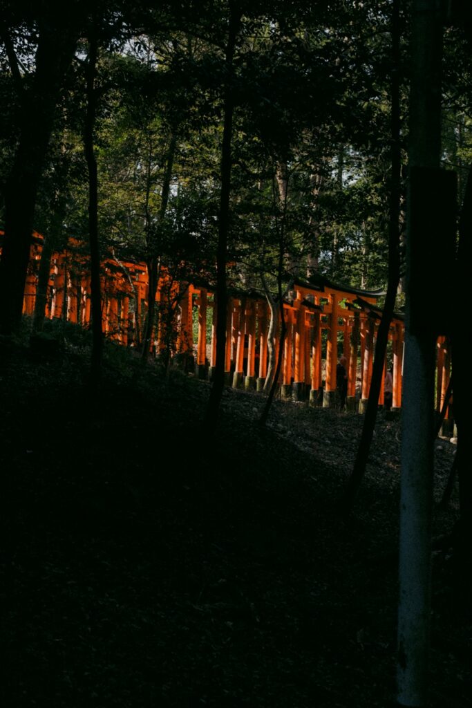 Unplug and Reconnect: Discover Japan’s Hidden Forest Retreats and Wellness Glamping Revolution