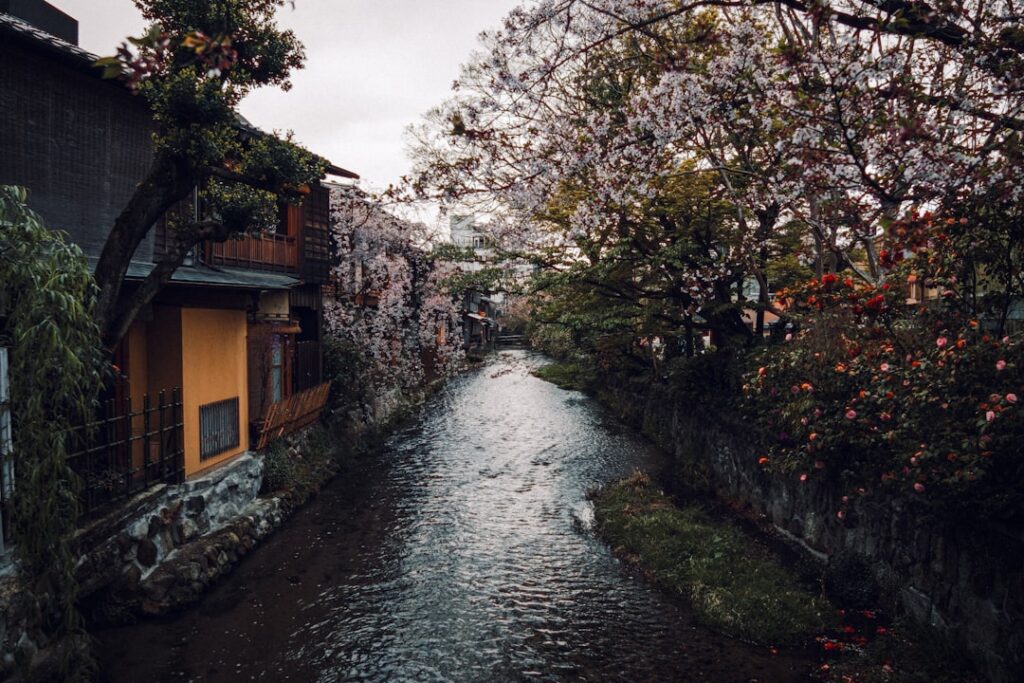 Kyoto’s Hidden Art Sento: Discovering Secret Public Baths and Local Life Off the Beaten Path