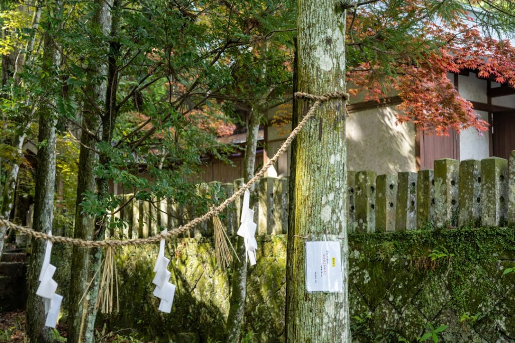 Whispering Woods: Discovering Japan’s 2025 Secret Forest Art Installations
