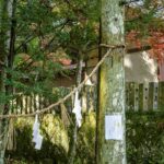Whispering Woods: Discovering Japan’s 2025 Secret Forest Art Installations