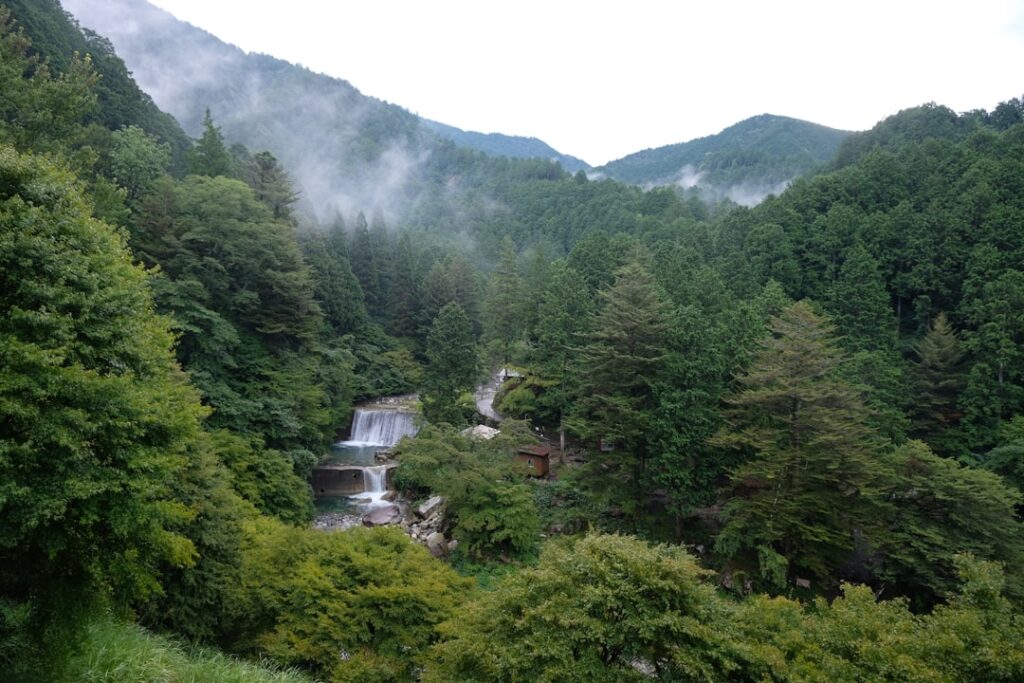 Japan’s Secret Hot Springs & Forest Hideaways: Unveiling the Ultimate Rural Wellness Escapes