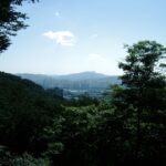 Japan’s Secret Sanctuaries: Discover the Transformative Forest Therapy Retreats Hidden in Rural Japan