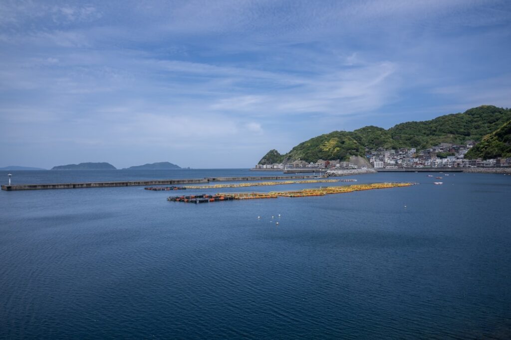 Pedal Through Paradise: Discovering Setouchi’s Hidden Art Islands on Two Wheels