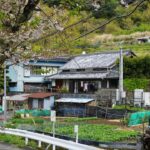 Into the Heart of Satoyama: Japan’s Hidden Countryside Villages and the Sustainable Farm-to-Table Revolution of 2025