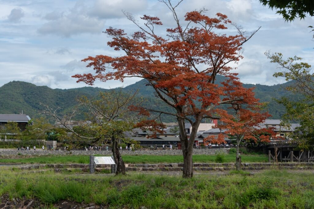 Secret Autumn Feasts: Discover Japan’s Hidden Harvest Festivals Off the Beaten Path