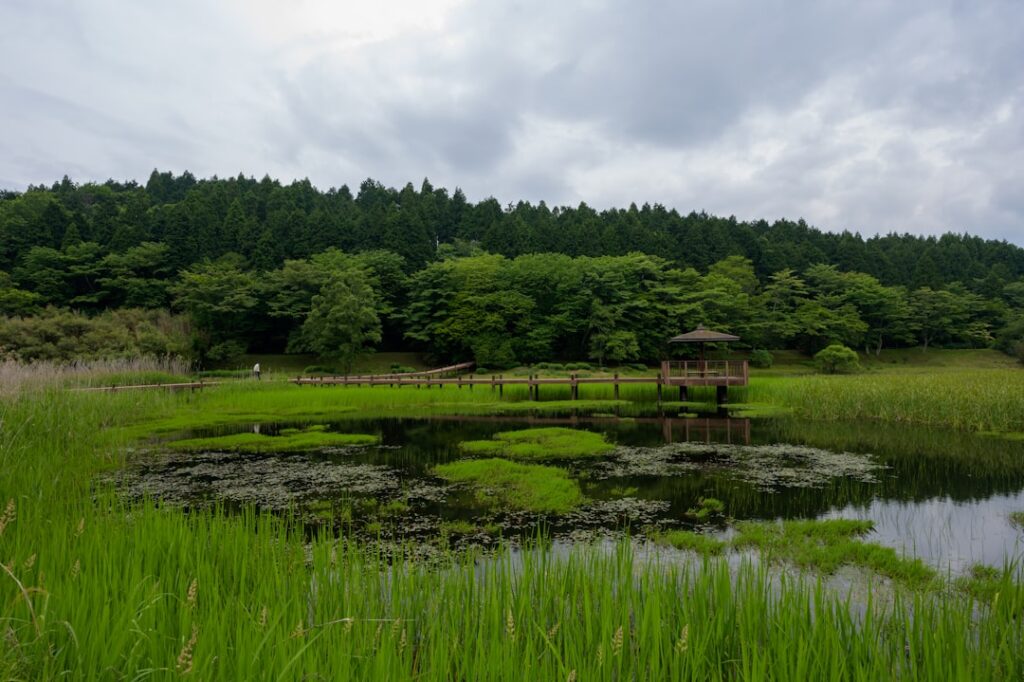 Soak, Relax, Repeat: Discover Japan’s Eco-Friendly Onsen Retreats Hidden in the Countryside