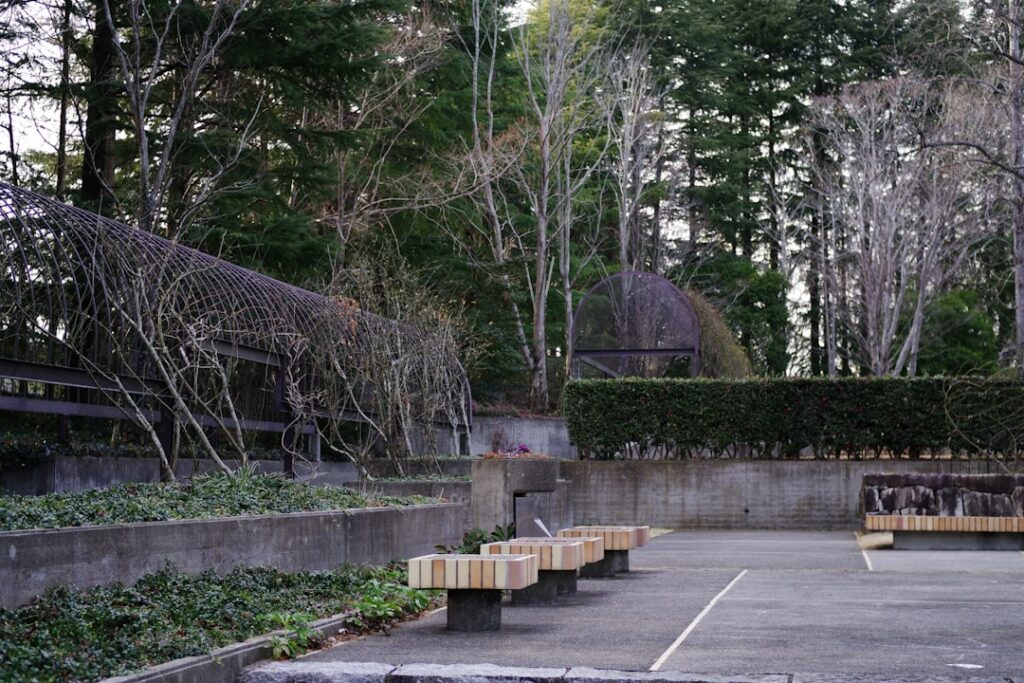 Where Art Meets Wilderness: Exploring Japan’s Hidden Eco-Art Sanctuaries