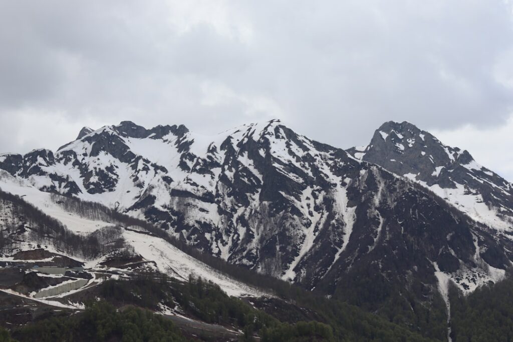 The Chestnut Revolution: Exploring Japan’s Cutting-Edge Kuri Sweets This Fall