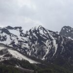 The Chestnut Revolution: Exploring Japan’s Cutting-Edge Kuri Sweets This Fall