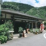 Forage & Feast: Discover Japan’s Hidden Mushroom Hunting Adventures and Enchanting Forest Cafés This Autumn