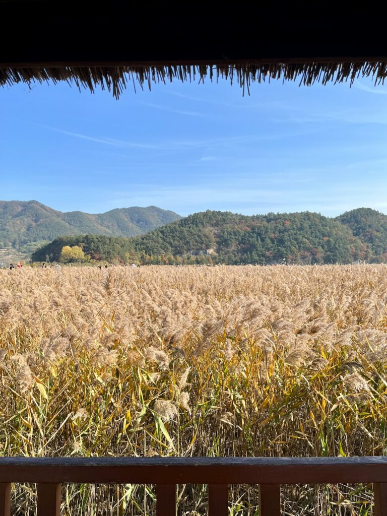 Unveiling Japan’s Countryside Charms: Unique Farmstay Adventures & Agritourism Escapes This Autumn