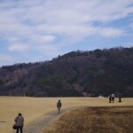 Unveiling Japan’s Untouched Countryside: Glamping, Green Living, and Farm-Stay Escapes Off the Beaten Track