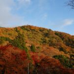 Escape to Autumn Paradise: Discover Japan’s Satoyama Glamping Revolution