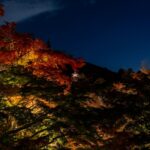 Japan’s Hidden Autumn Skies: The Ultimate Guide to Secret Stargazing Spots in the Countryside