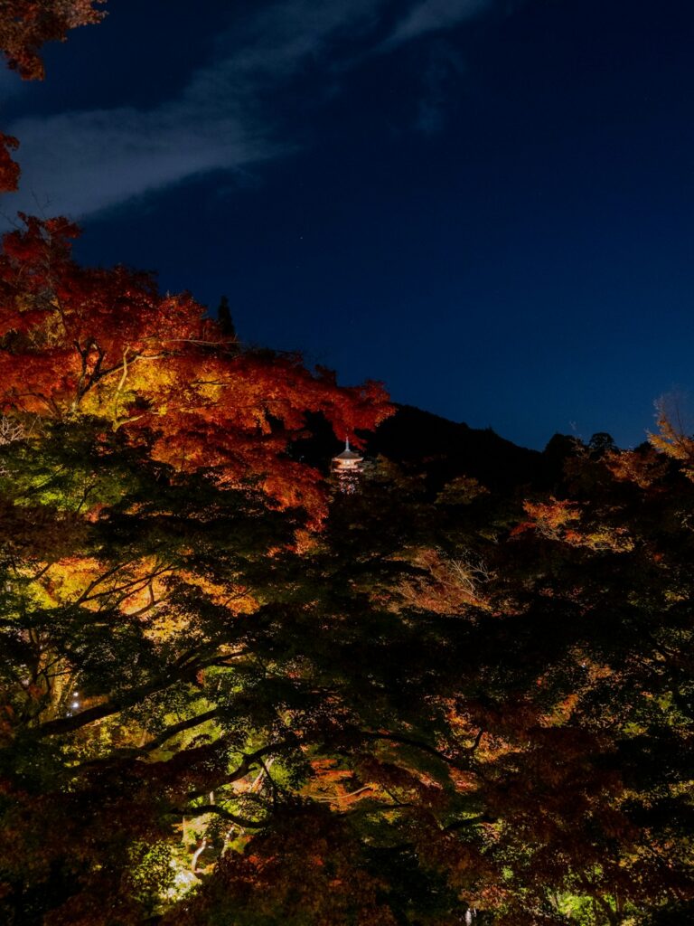 Japan’s Hidden Autumn Skies: The Ultimate Guide to Secret Stargazing Spots in the Countryside