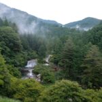 Escape to Japan’s Secret Forest Retreats: Digital Detox and Wellness in Untouched Prefectures
