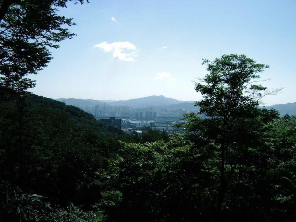 Eco-Chic Escapes: Exploring Tokyo’s Trendy Sustainable Glamping Hideaways